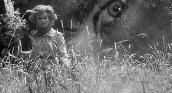 The Third Eye – Mino Guerrini, 1966