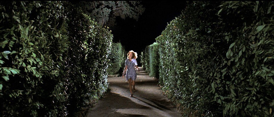 Four flies on grey velvet – Dario Argento, 1971